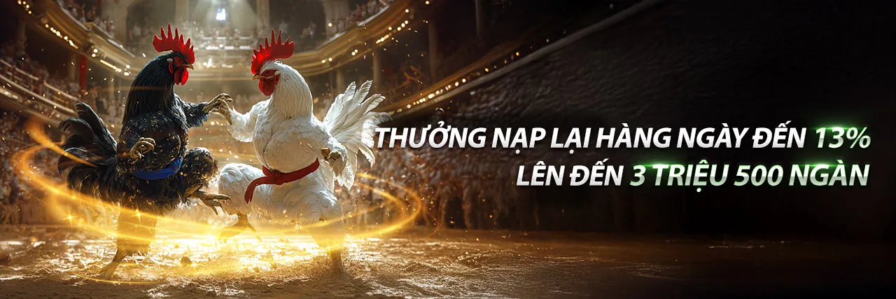 Đá Gà Trực Tiếp Thomo 24/7